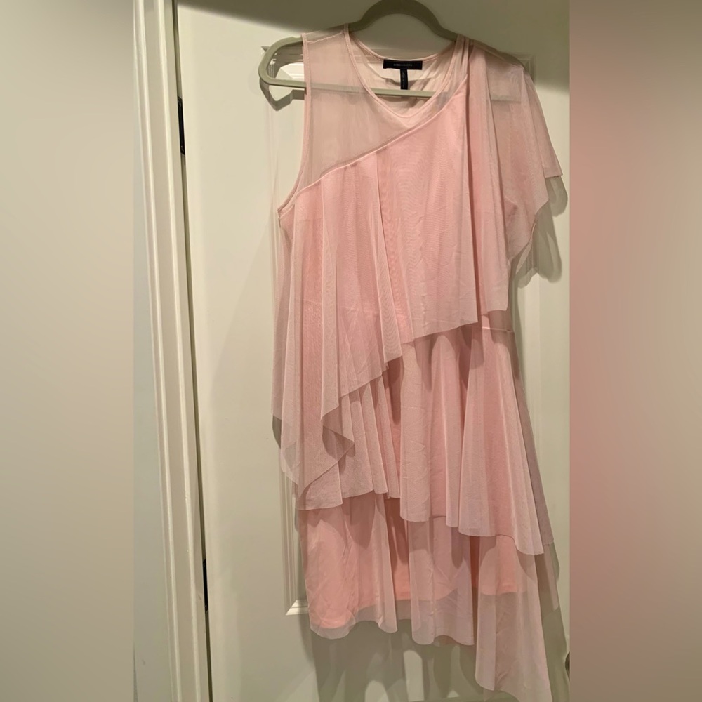 Ballet Pink BCBG MAXAZRIA Dress